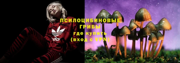 гидропоника Абинск