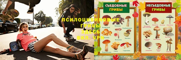 стаф Абдулино