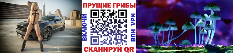 даркнет сайт Сураж Галлюциногенные грибы Psilocybe