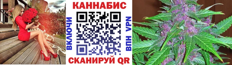Бошки марихуана OG Kush  Сураж 